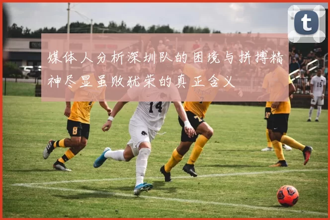 媒体人分析深圳队的困境与拼搏精神尽显虽败犹荣的真正含义